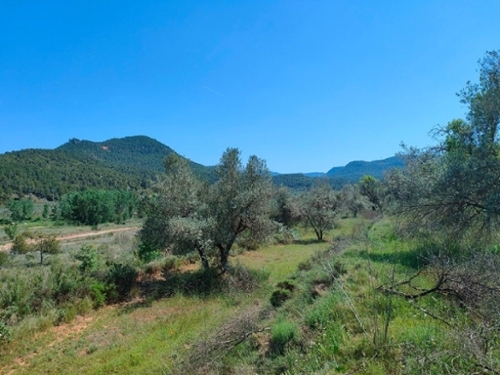 La Portellada Matarraña hus på landet foto 6253085