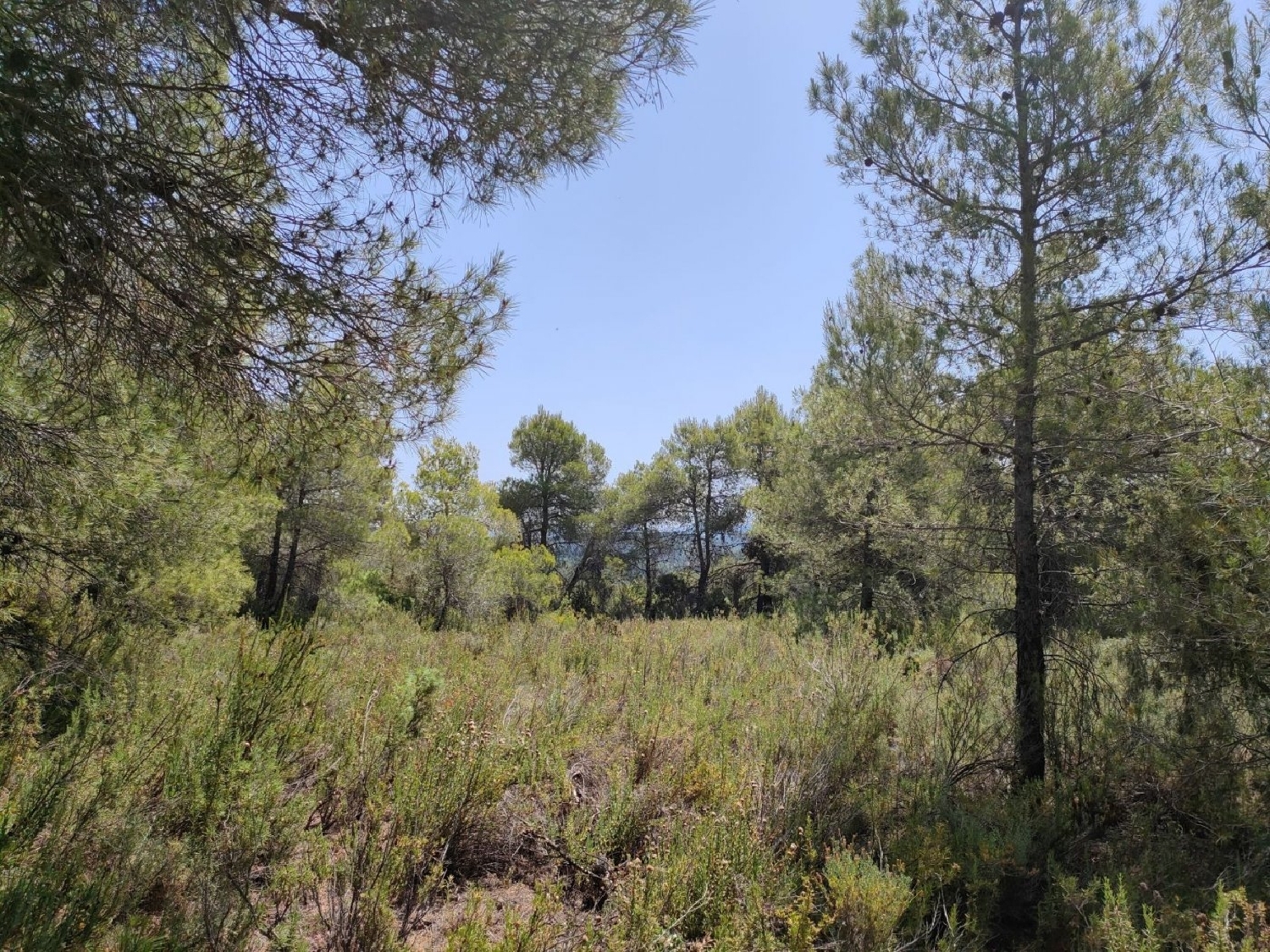  till salu hus på landet La Portellada Matarraña 2