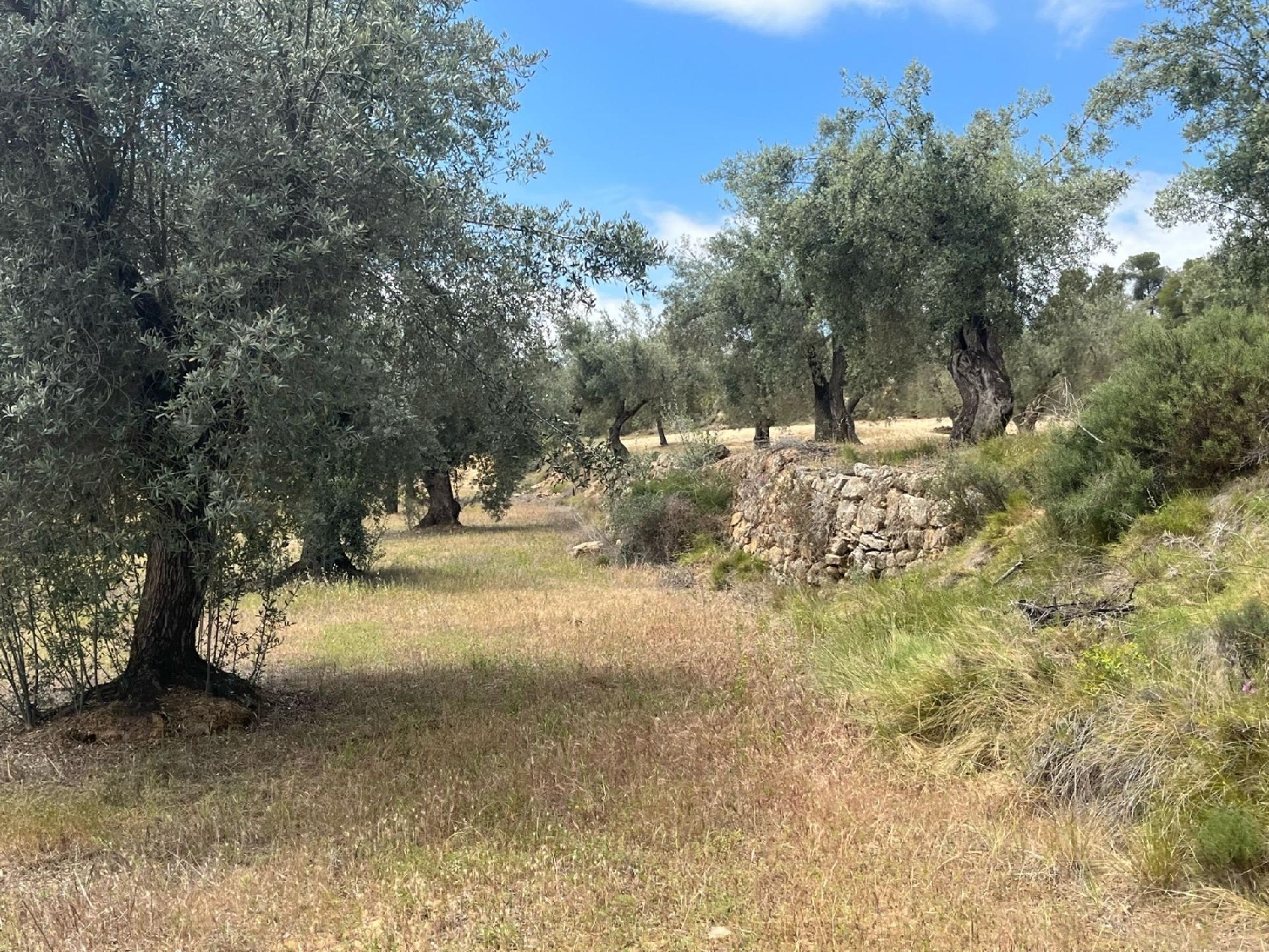  till salu hus på landet La Puebla De Híjar Bajo Martín 5