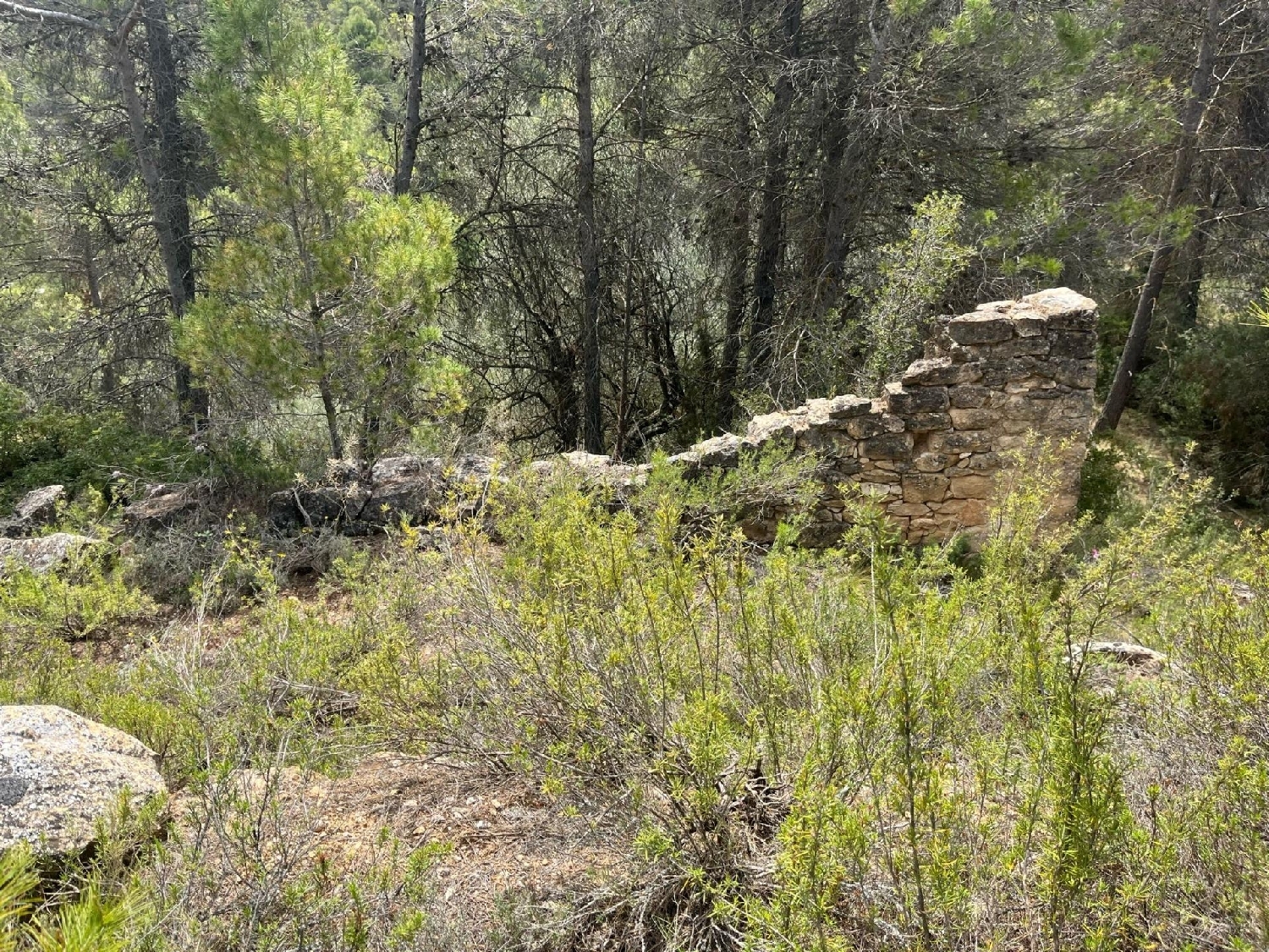 till salu hus på landet La Puebla De Híjar Bajo Martín 3