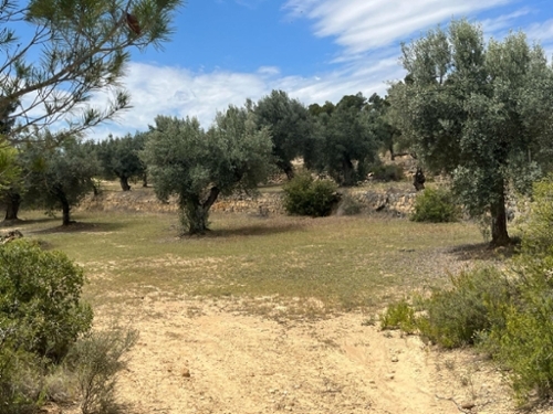 La Puebla De Híjar Bajo Martín hus på landet foto 6253160
