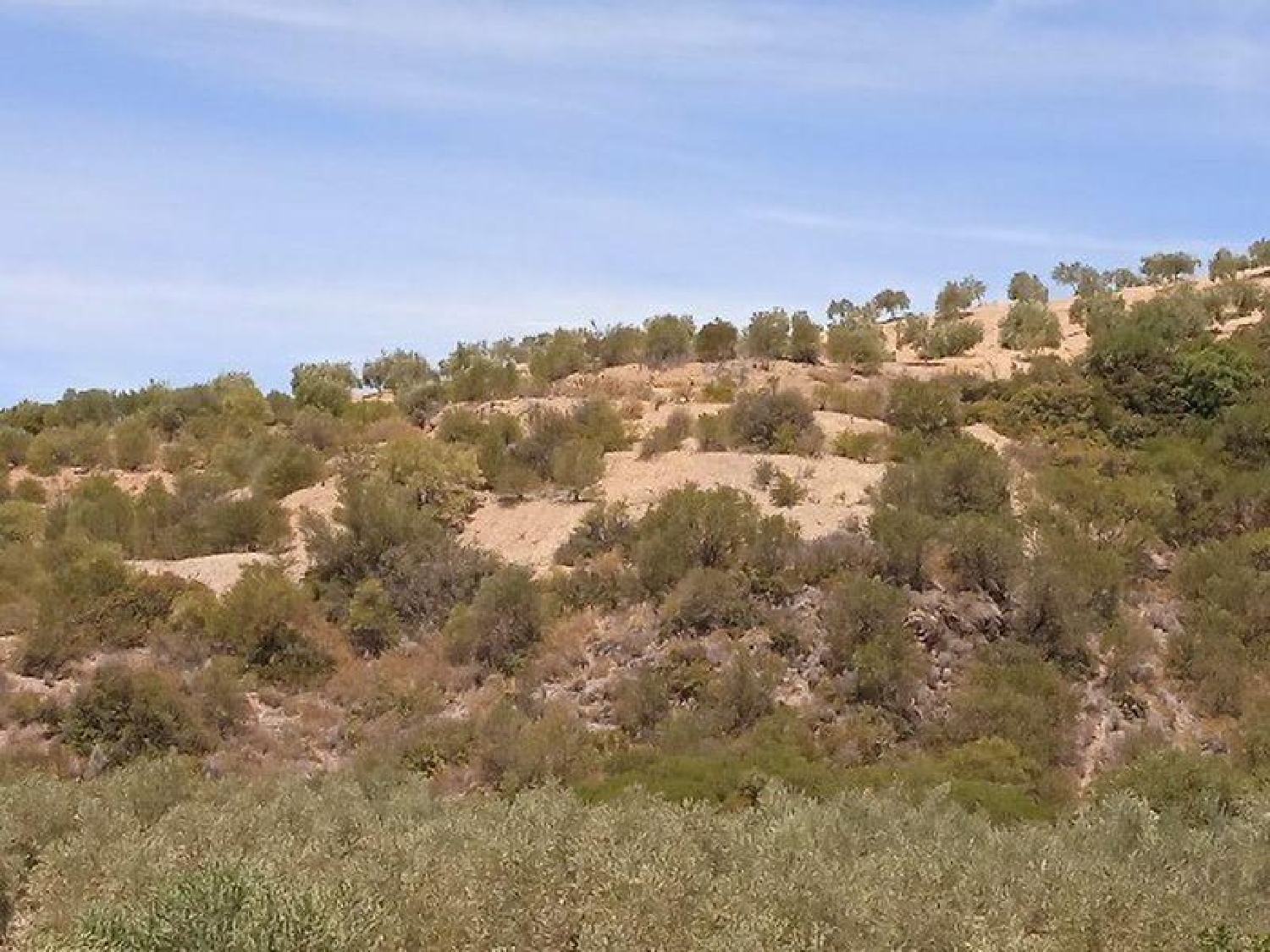  till salu hus på landet El Algarabejo Campiña De Morón Y Marchena 1