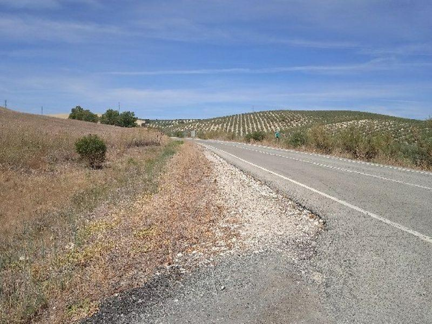  till salu hus på landet El Algarabejo Campiña De Morón Y Marchena 7