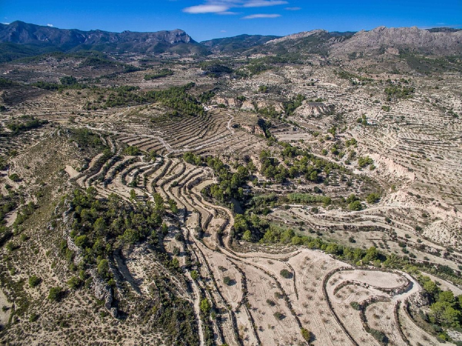  till salu hus på landet La Sectores Cuerda Y Lomas De Cabo Roig Baix Segura 10
