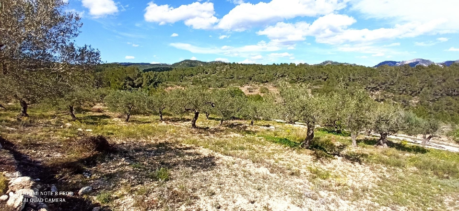  till salu hus på landet La Serra D'almos Ribera D'ebre 4