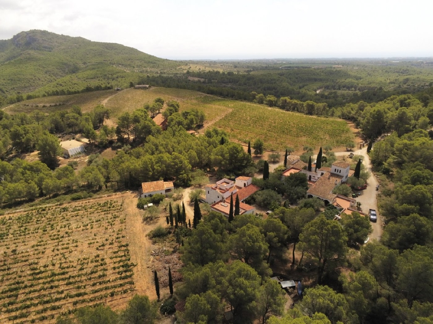till salu hus på landet La Serra D'almos Ribera D'ebre 2