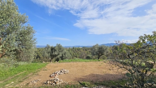 La Serra D''almos Ribera D''ebre hus på landet foto 6243509