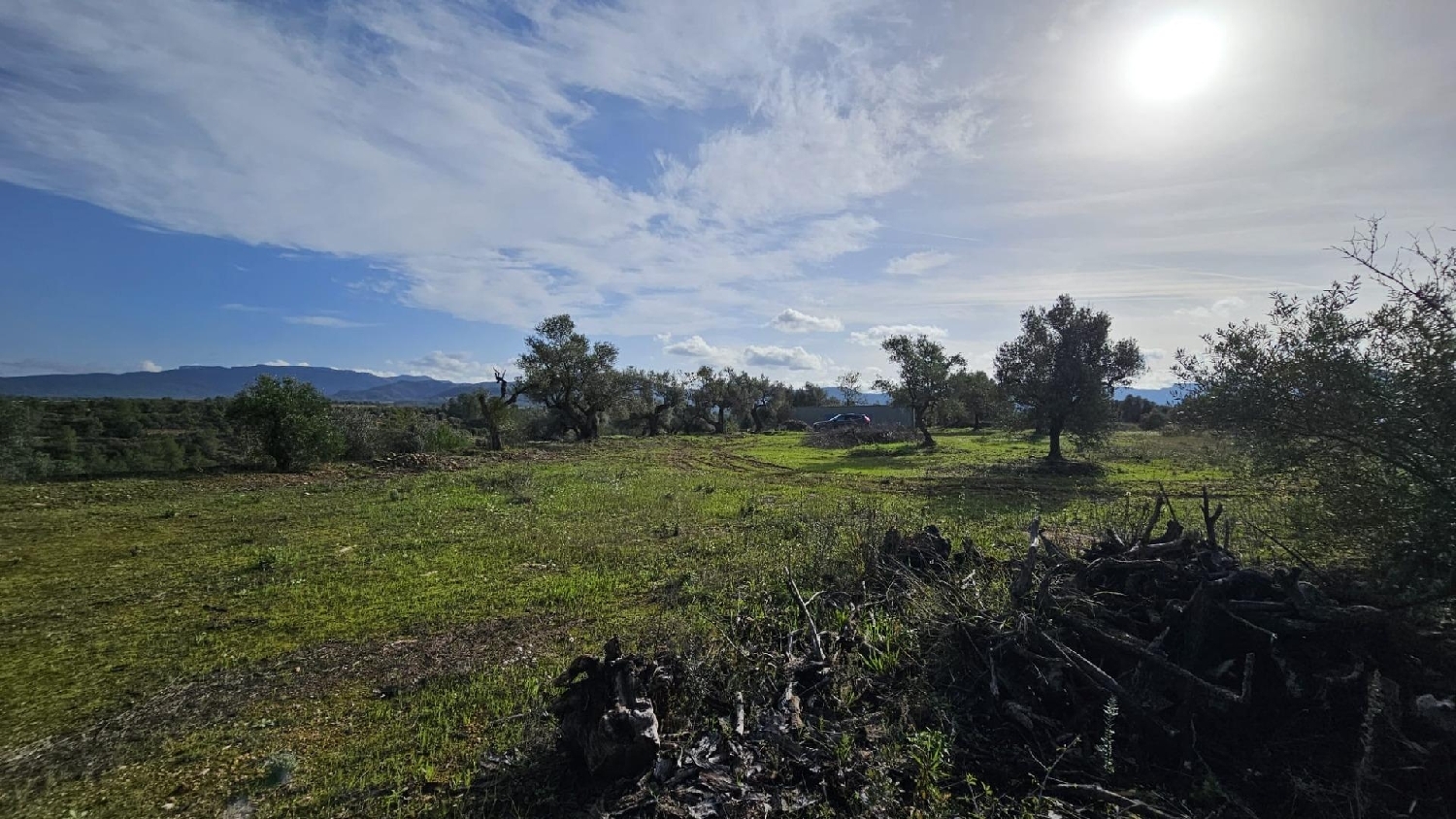 till salu hus på landet La Serra D'almos Ribera D'ebre 2