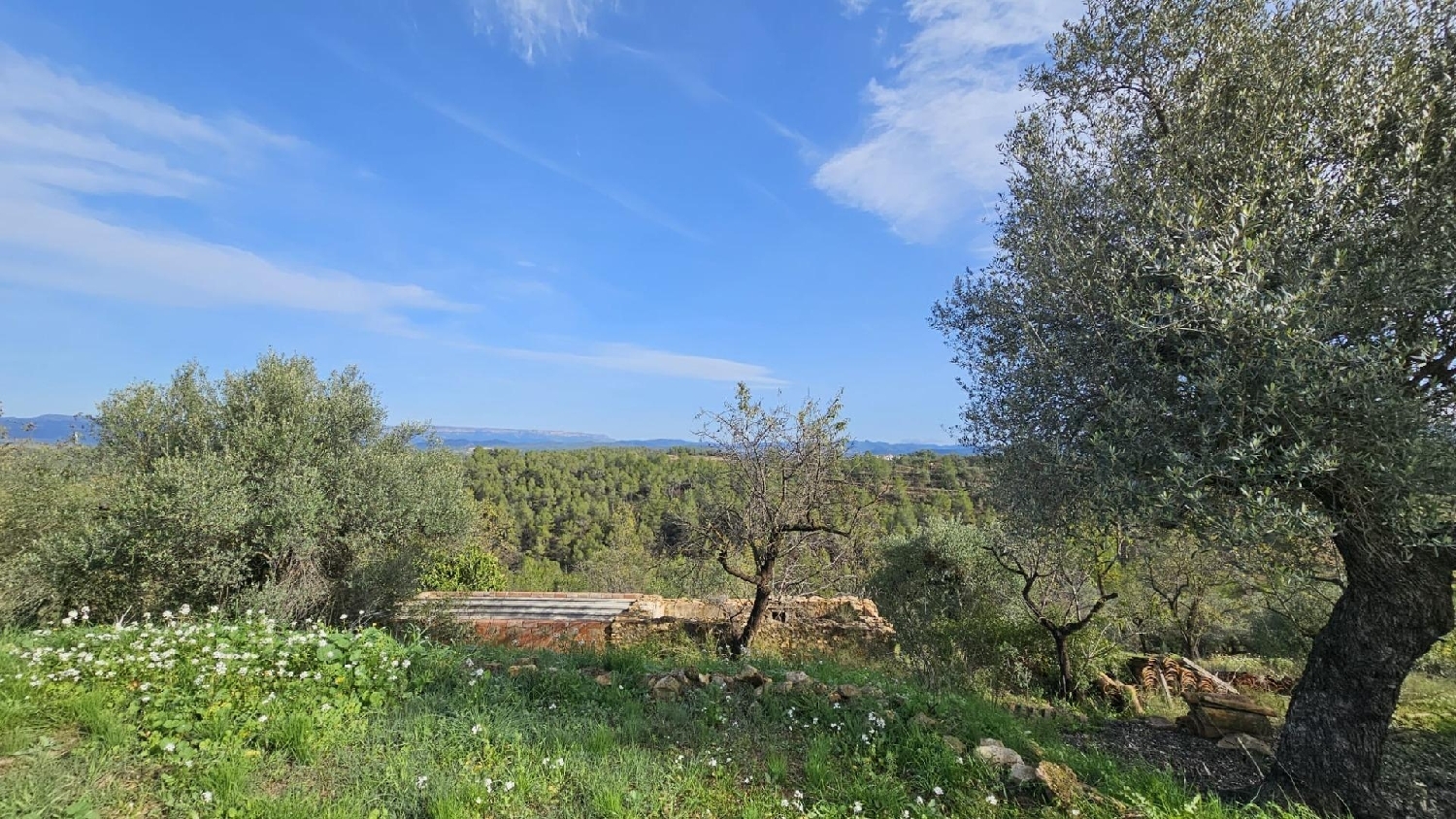  till salu hus på landet La Serra D'almos Ribera D'ebre 6