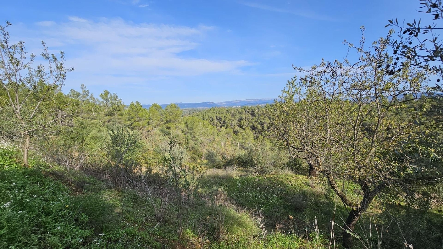  till salu hus på landet La Serra D'almos Ribera D'ebre 5