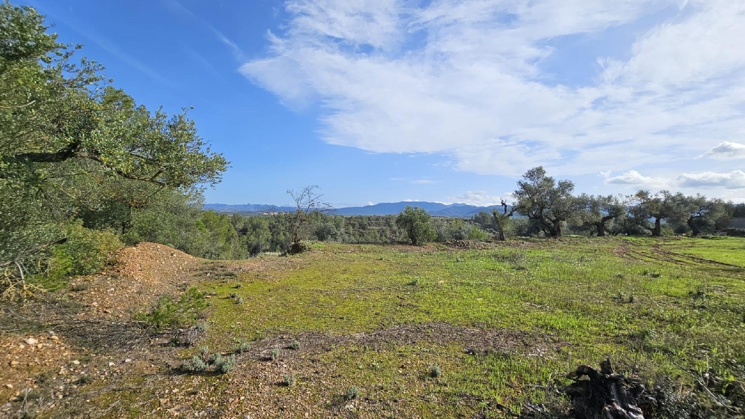  till salu hus på landet La Serra D'almos Ribera D'ebre 4