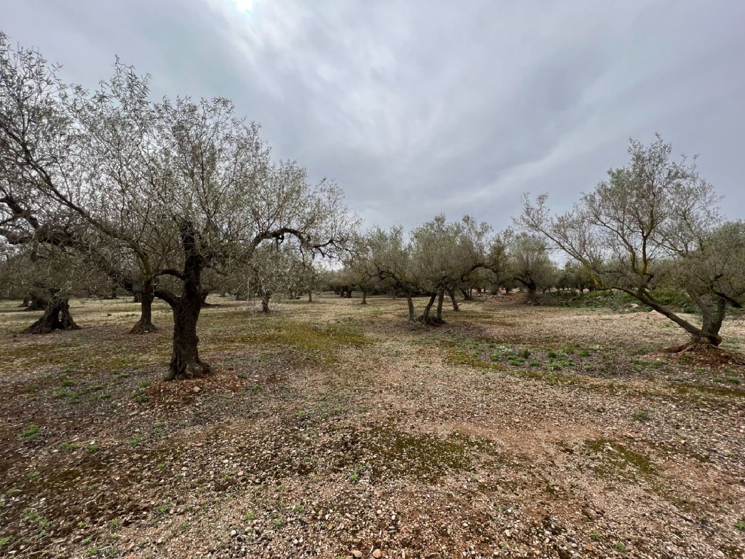  till salu hus på landet La Torre D'en Gil Baix Ebre 8