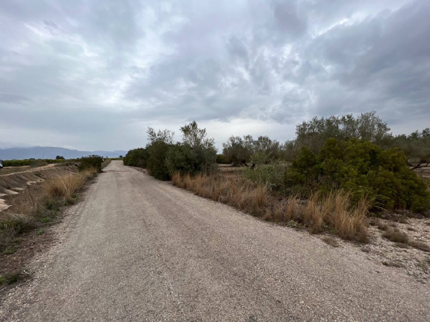en venta finca rústica La Torre D'en Gil Baix Ebre 3