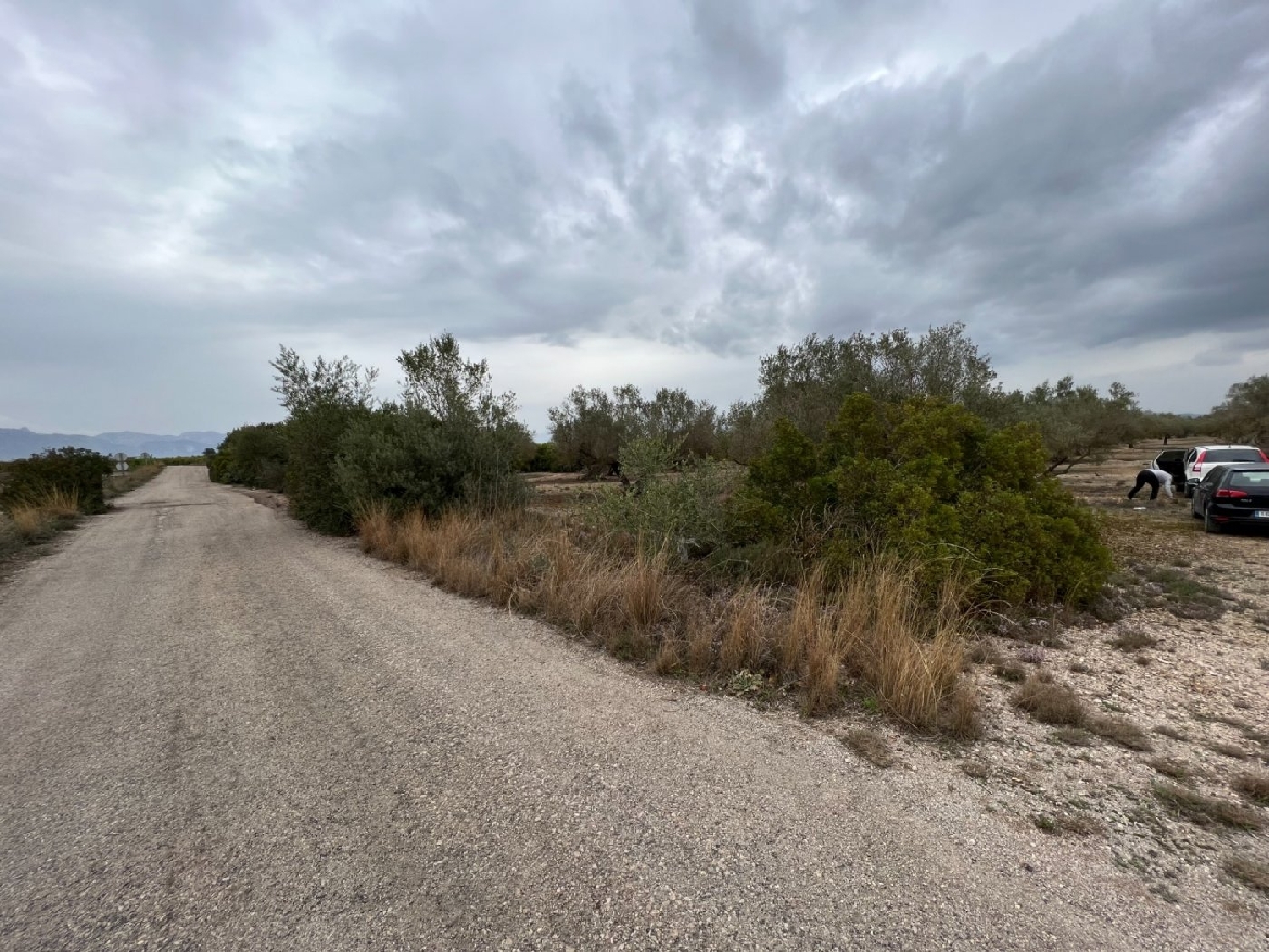  en venta finca rústica La Torre D'en Gil Baix Ebre 7