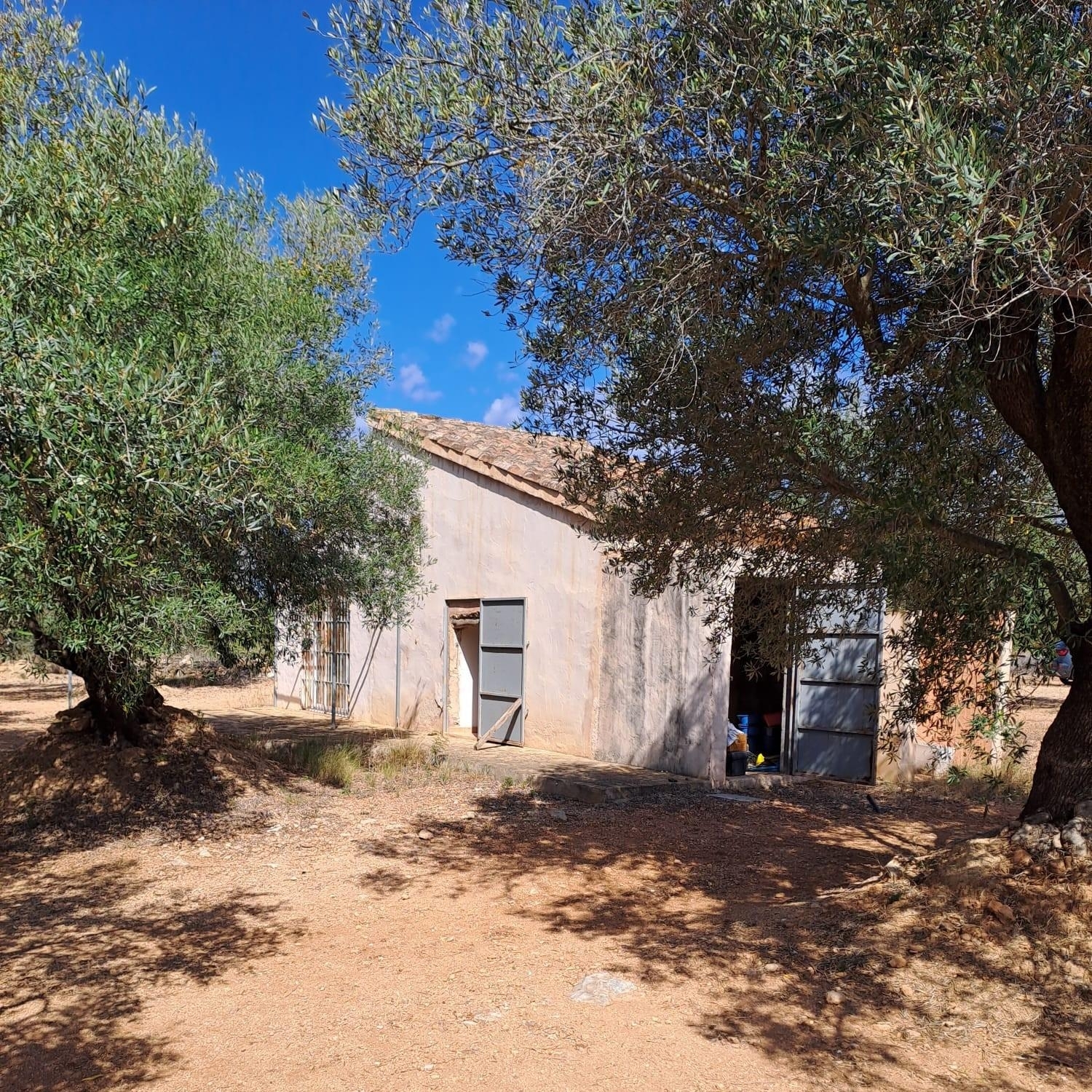  till salu hus på landet L'aldea Baix Ebre 4