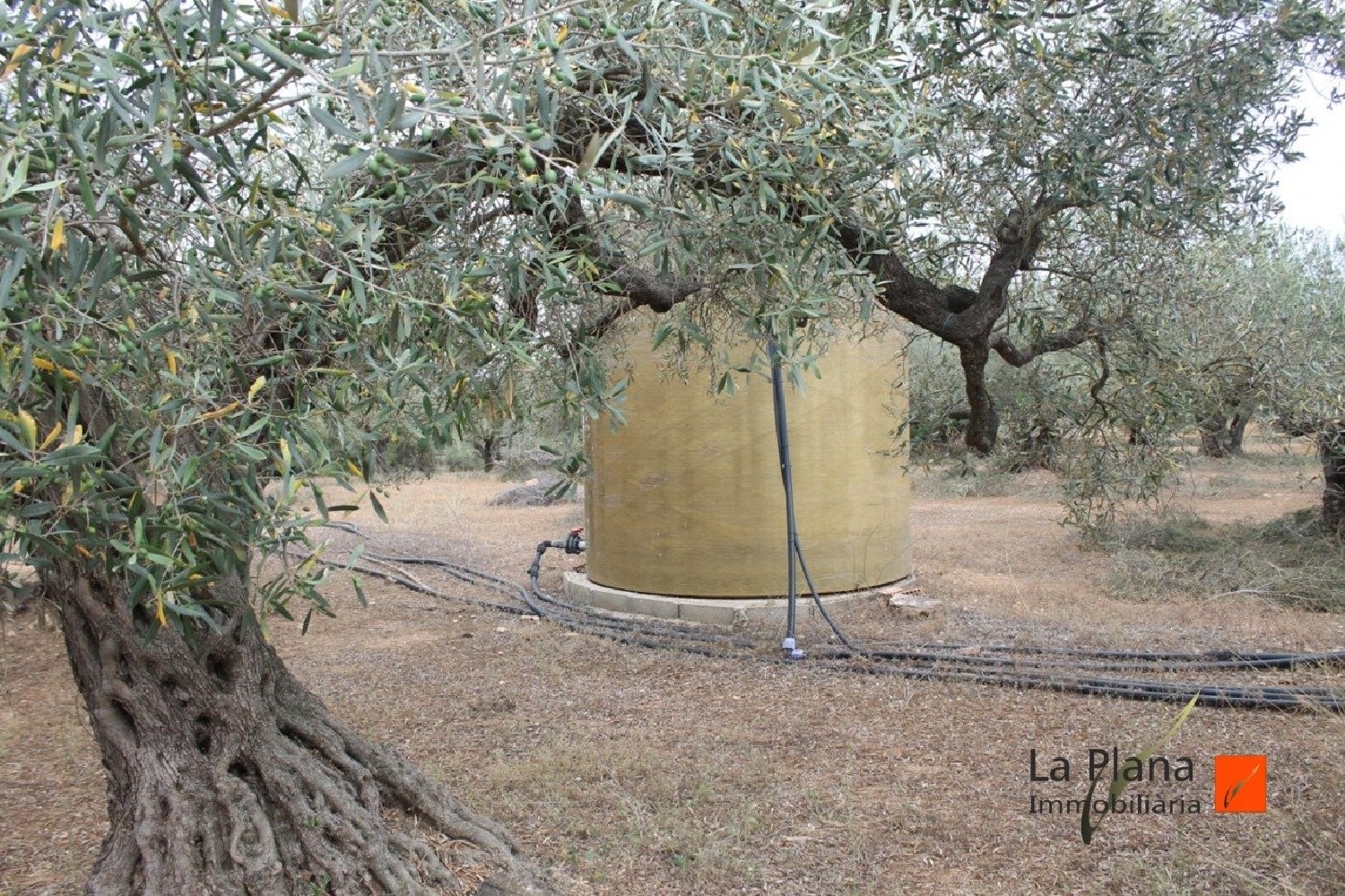  till salu hus på landet L'aldea Baix Ebre 6