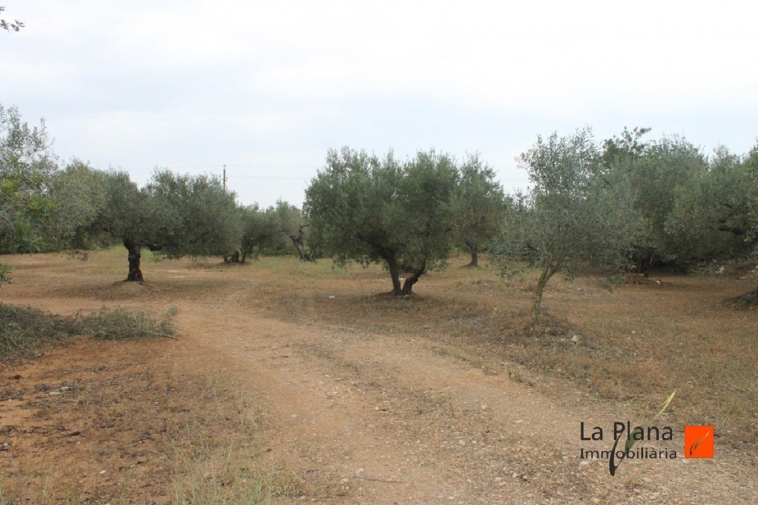 till salu hus på landet L'aldea Baix Ebre 2