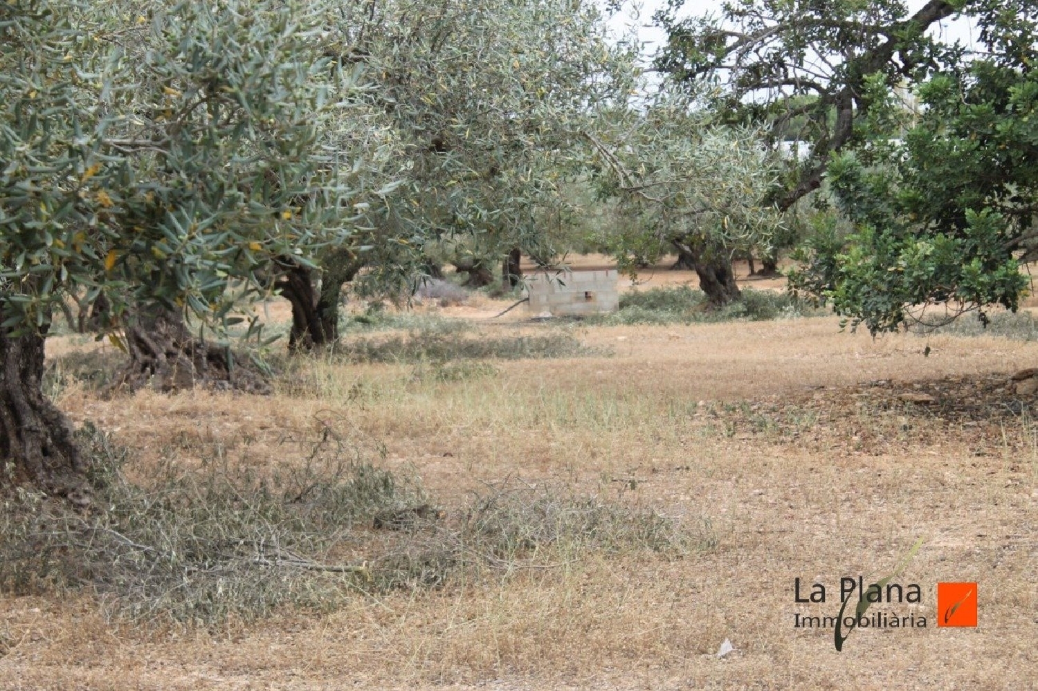  till salu hus på landet L'aldea Baix Ebre 5