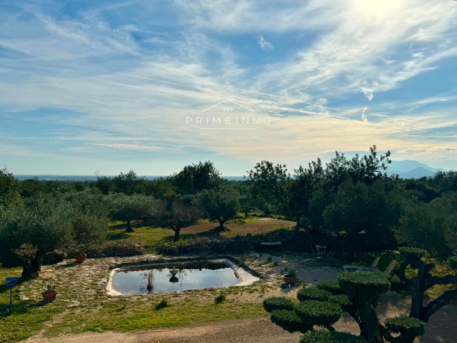 kaufen Landhaus L'aldea Baix Ebre 23