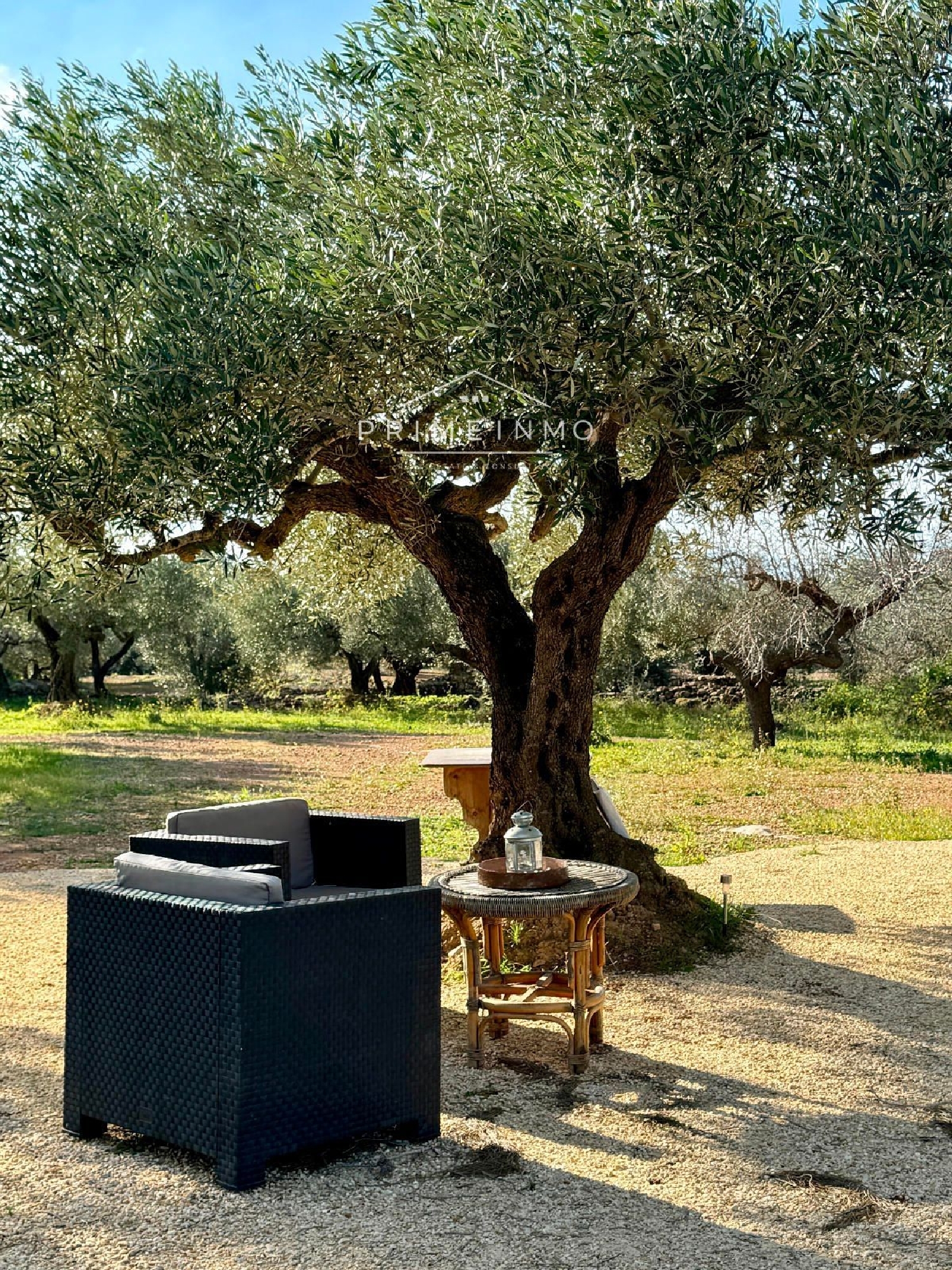  kaufen Landhaus L'aldea Baix Ebre 36