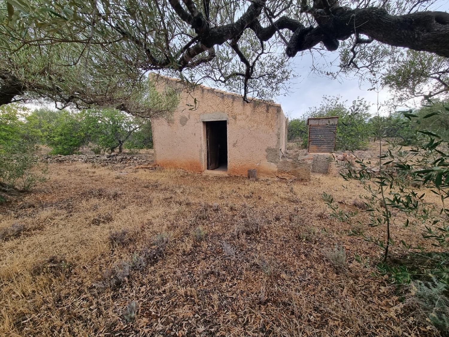  till salu hus på landet L'alia Baix Ebre 7