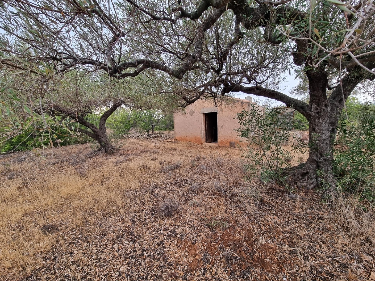  till salu hus på landet L'alia Baix Ebre 8
