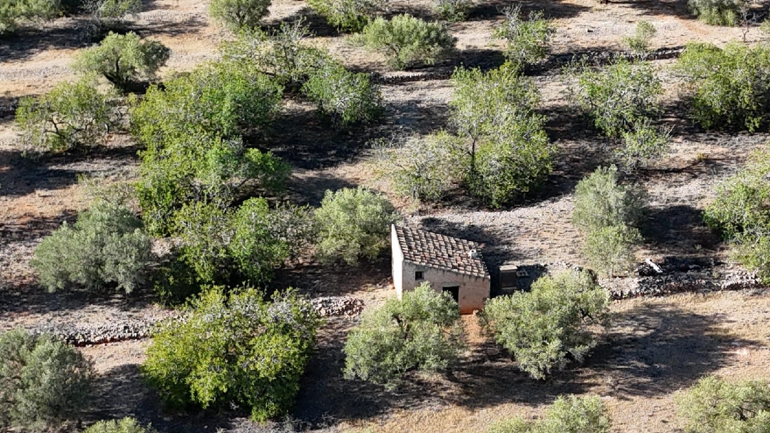  till salu hus på landet L'alia Baix Ebre 1