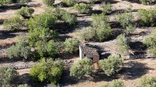 L''alia Baix Ebre hus på landet foto 6257188