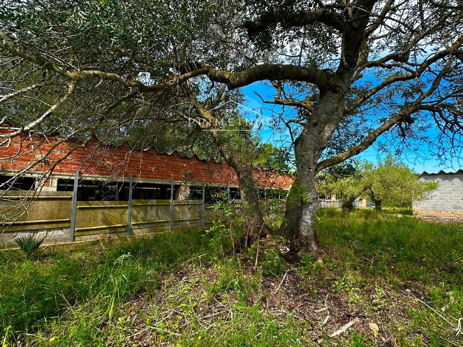  till salu hus på landet Els Racons Baix Ebre 39