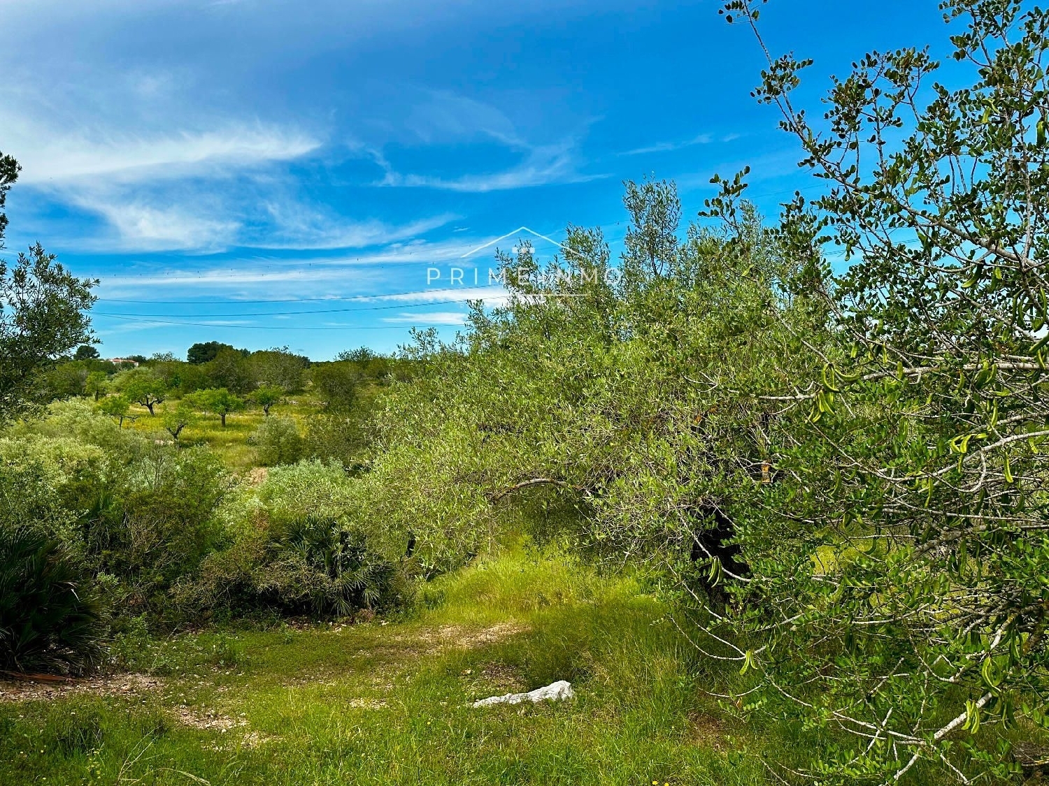  till salu hus på landet Els Racons Baix Ebre 28