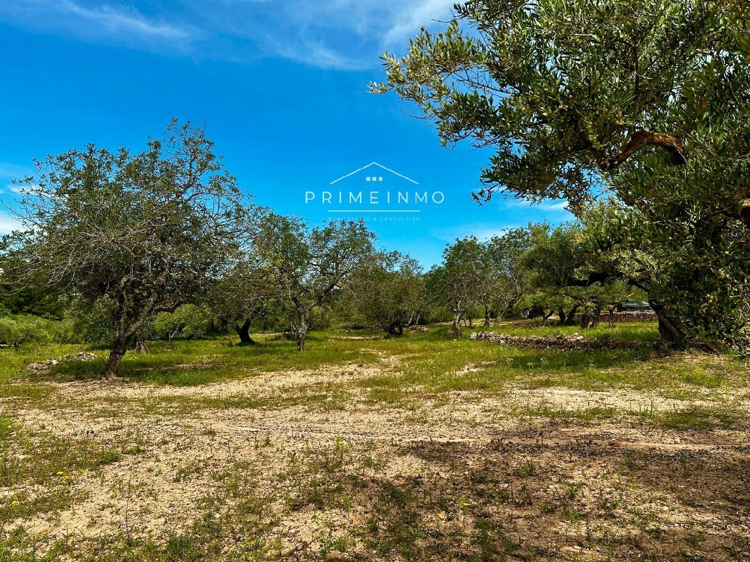 till salu hus på landet Els Racons Baix Ebre 3