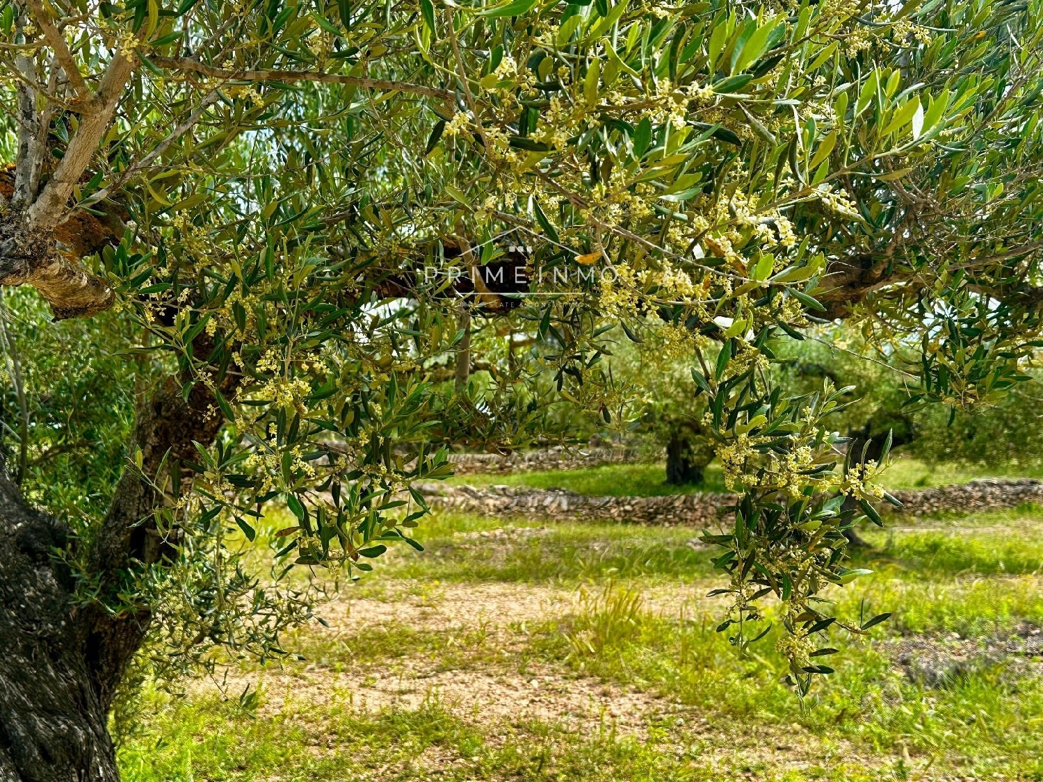  till salu hus på landet Els Racons Baix Ebre 5