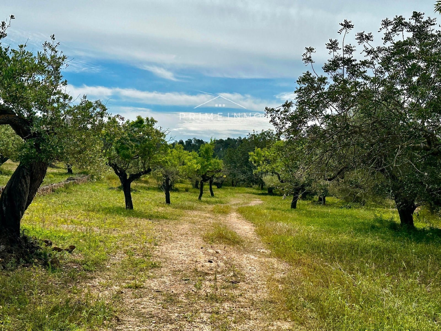  till salu hus på landet Els Racons Baix Ebre 6