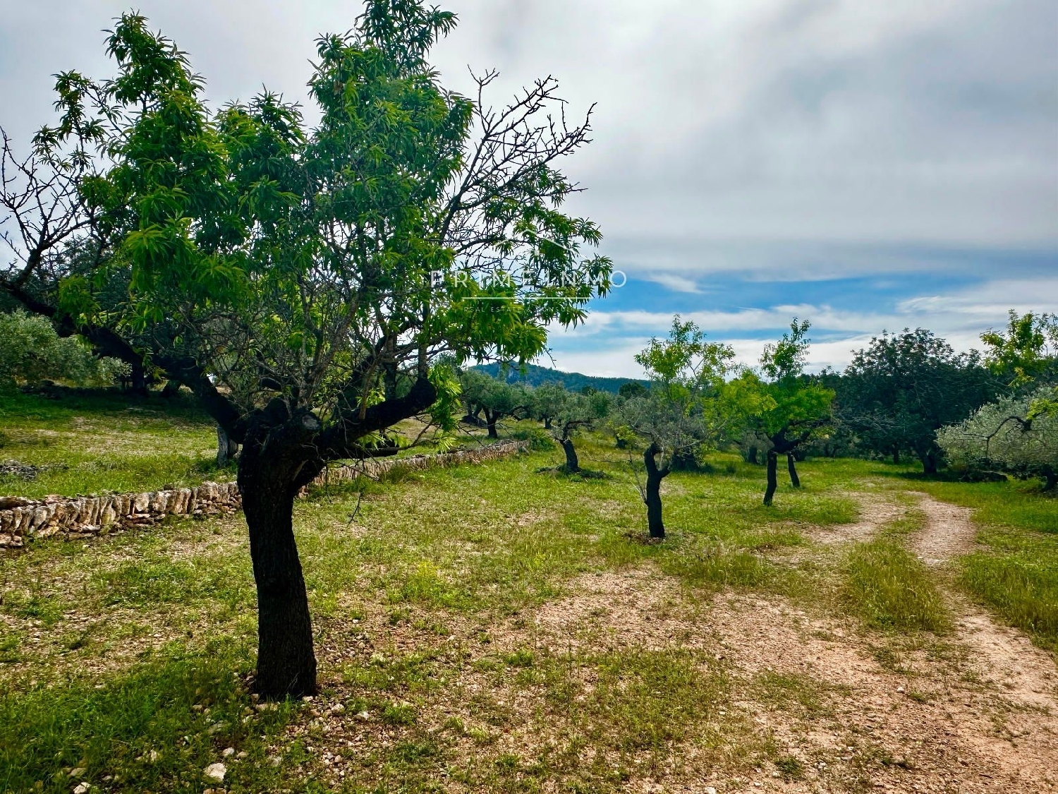 till salu hus på landet Els Racons Baix Ebre 7
