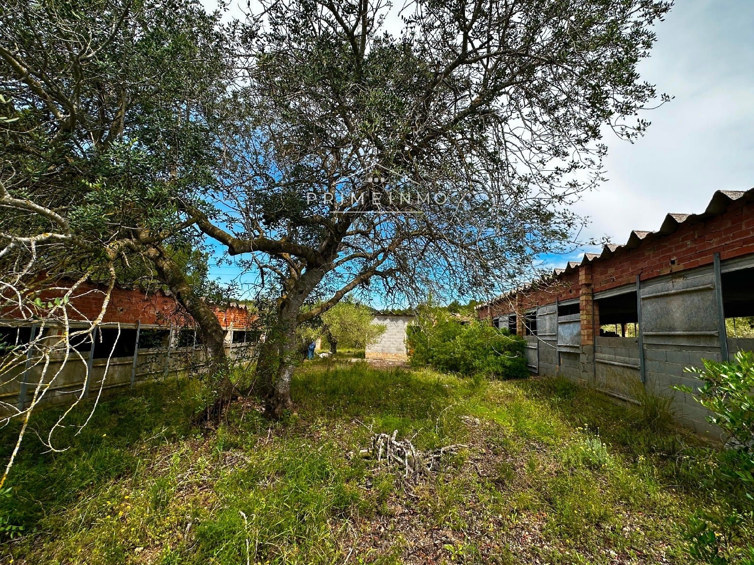  till salu hus på landet Els Racons Baix Ebre 1