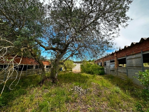 Els Racons Baix Ebre hus på landet foto 6229237