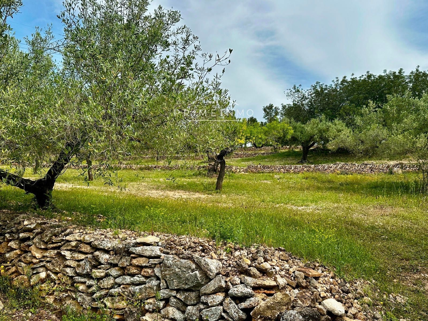  till salu hus på landet Els Racons Baix Ebre 8