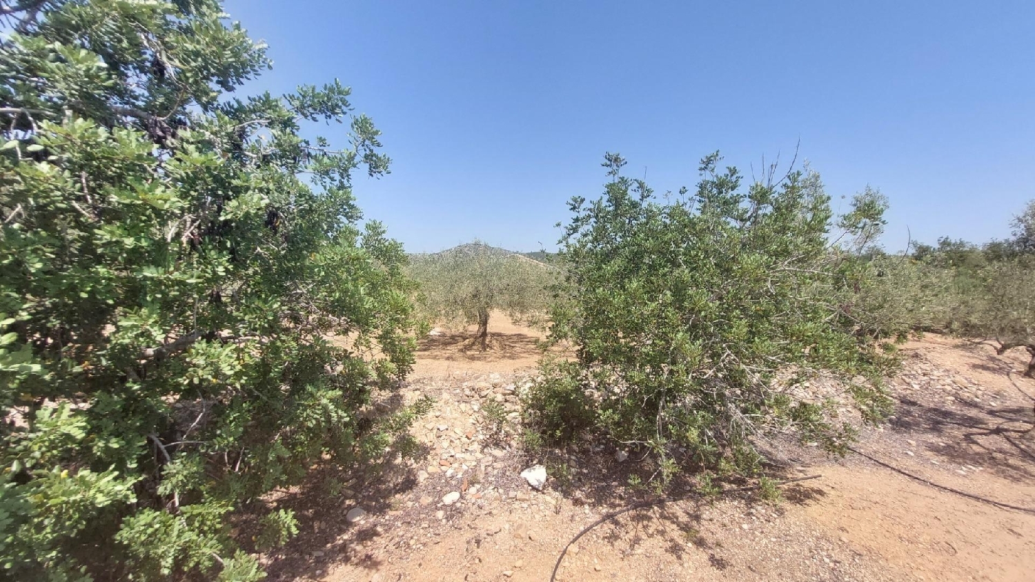  till salu hus på landet L'ampolla Baix Ebre 7