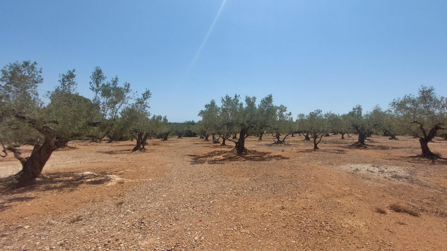  till salu hus på landet L'ampolla Baix Ebre 8