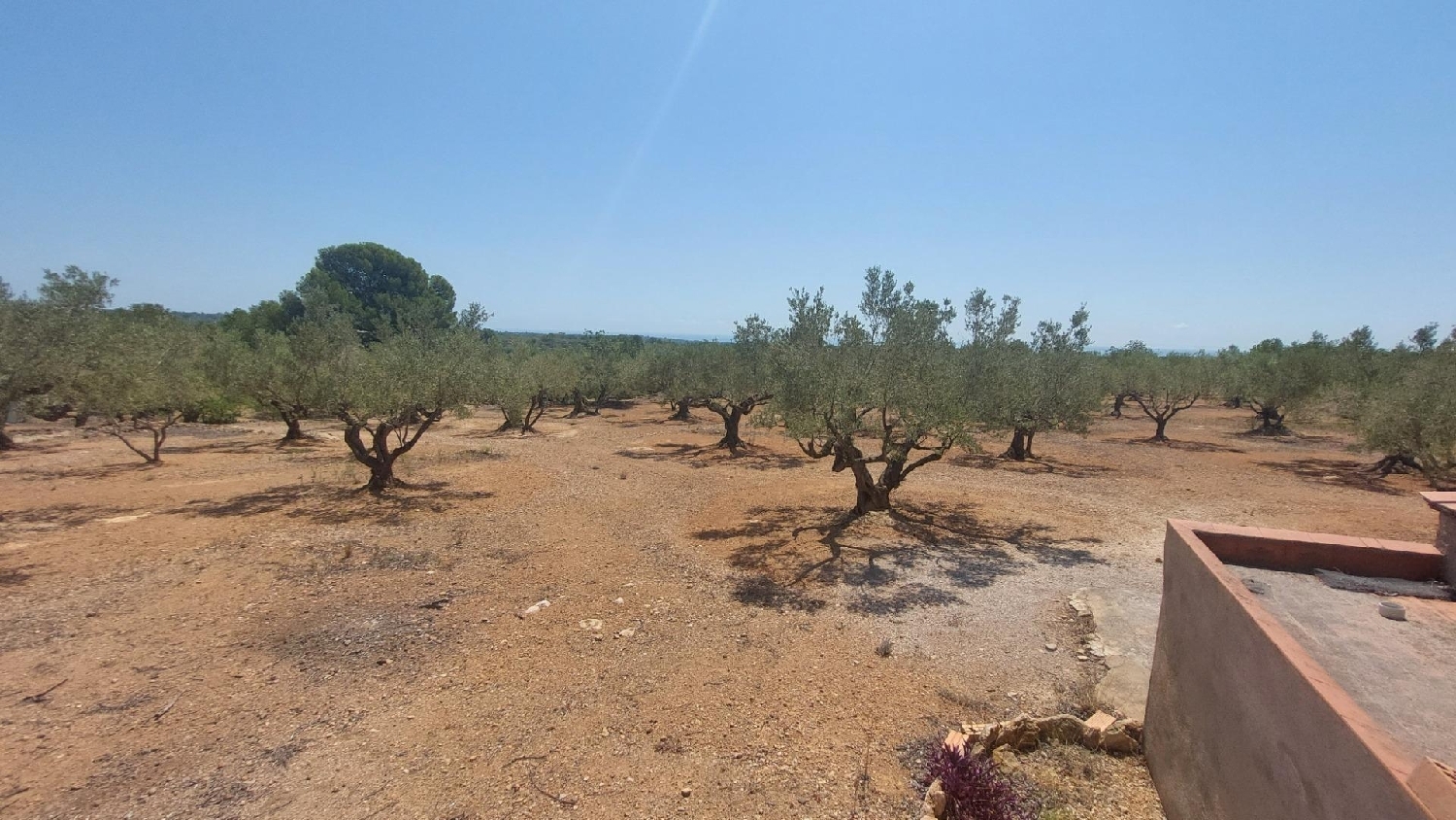  till salu hus på landet L'ampolla Baix Ebre 5