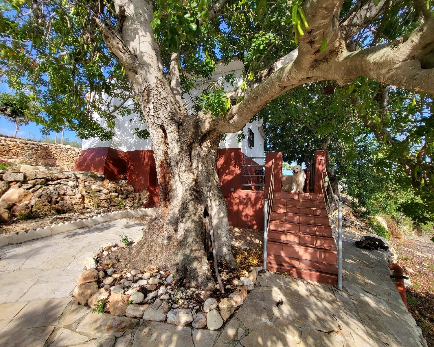 till salu hus på landet L'ampolla Baix Ebre 3