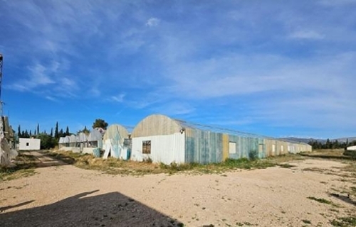L''ampolla Baix Ebre hus på landet foto 6243529