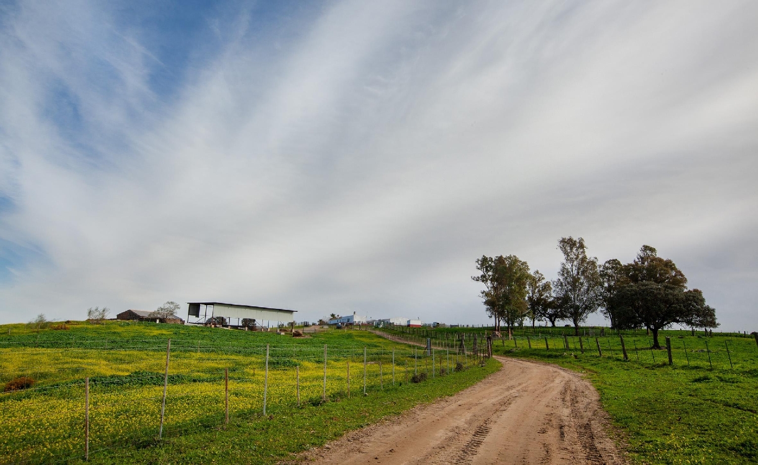  en venta finca rústica Campoamor Urb. Sierra Norte 6