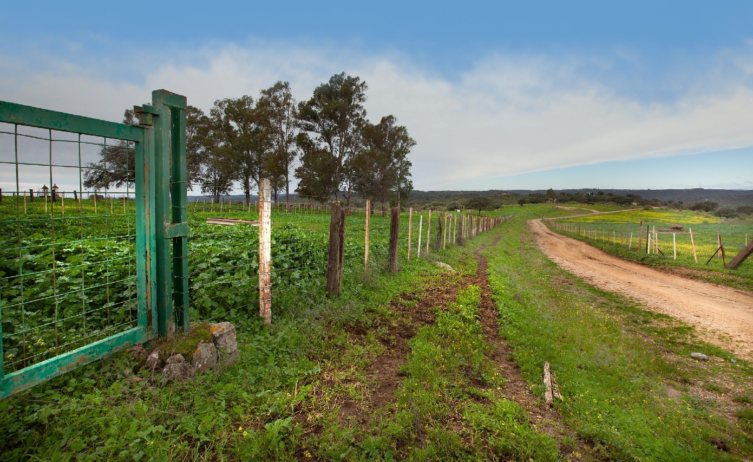  en venta finca rústica Campoamor Urb. Sierra Norte 3
