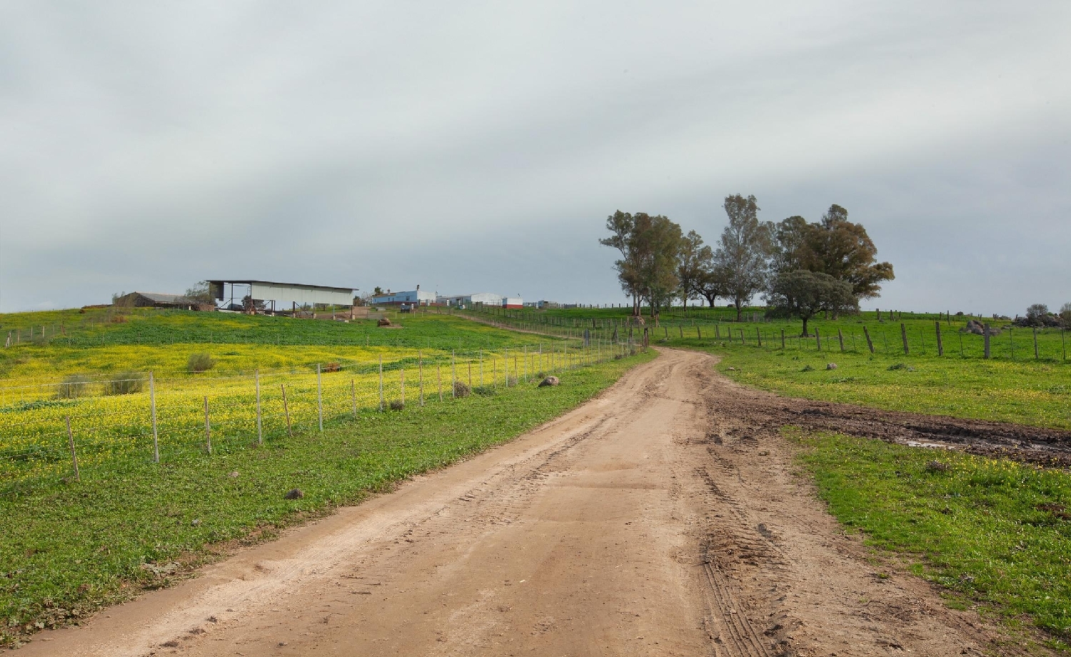  en venta finca rústica Campoamor Urb. Sierra Norte 5