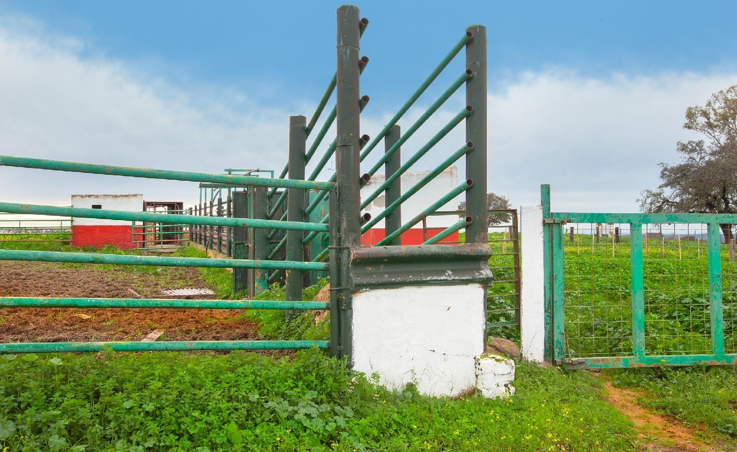  en venta finca rústica Campoamor Urb. Sierra Norte 2