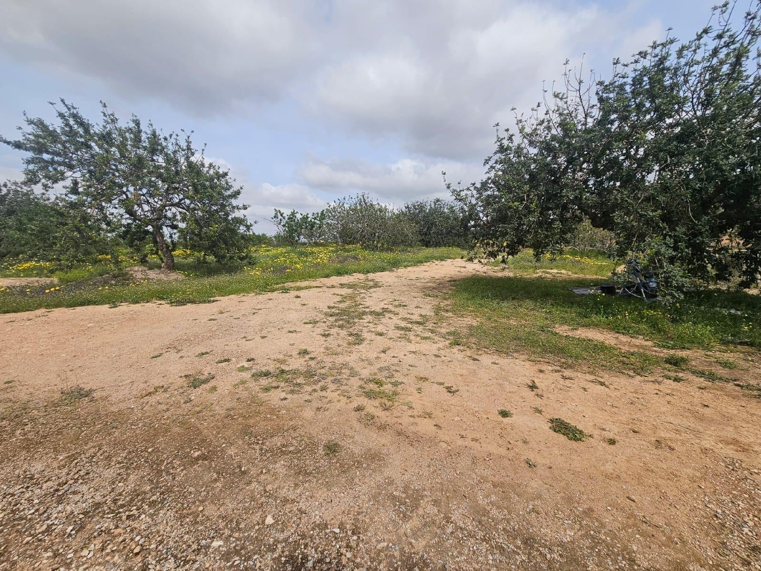  te koop boerderij Las Palas Campo De Cartagena 4