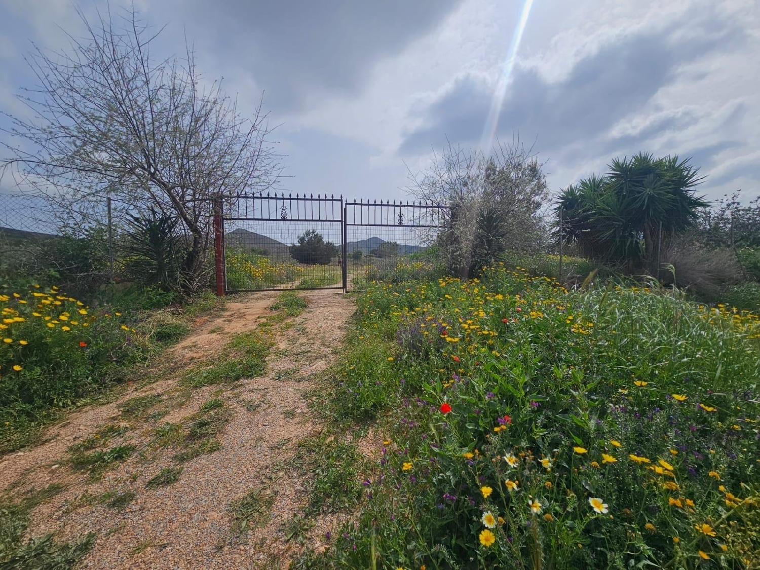  te koop boerderij Las Palas Campo De Cartagena 5