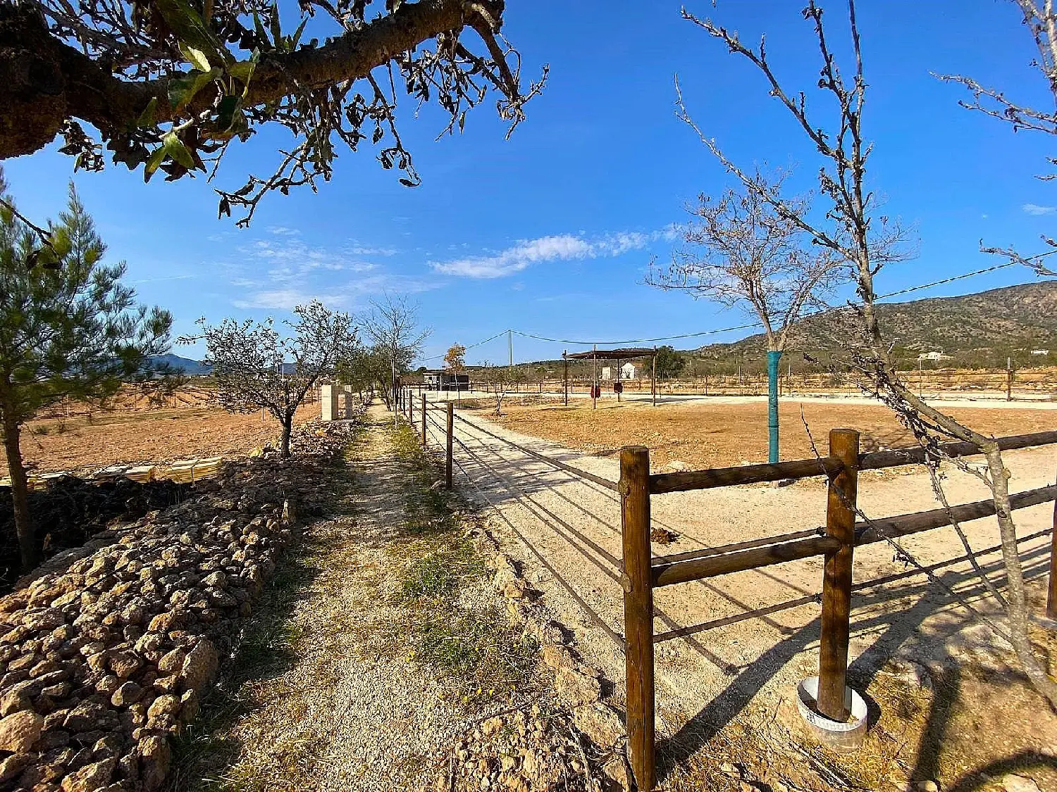  till salu hus på landet Orihuela Baix Segura 18
