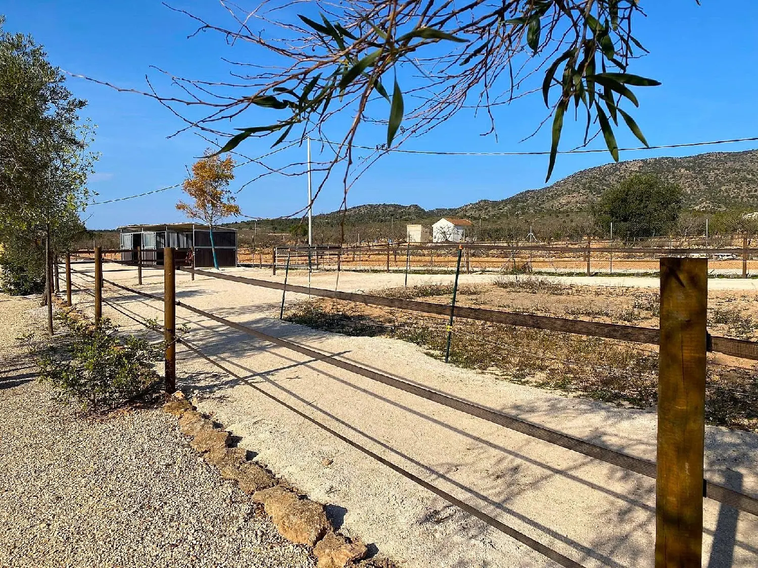  till salu hus på landet Orihuela Baix Segura 22